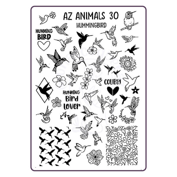 az animals 30 colibríes mdu