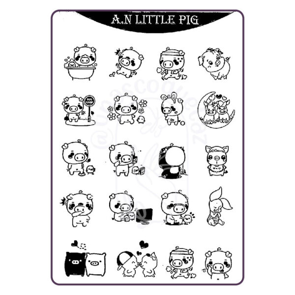 an little pig