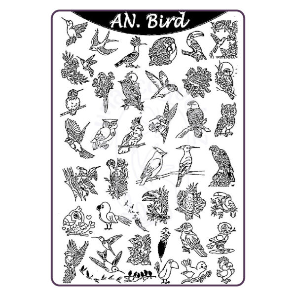 AN BIRD