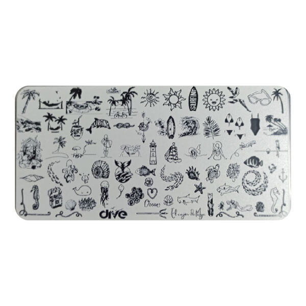 6x12 Playera
