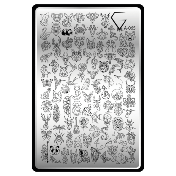 A-065 Geometric