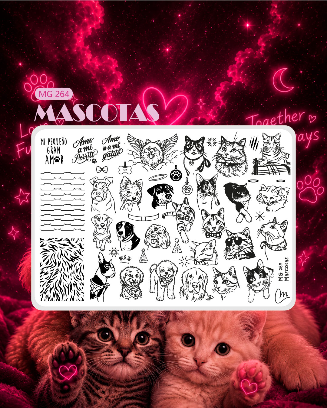 Kit Lanzamiento de Mayo - Limitado - Magenta - Imagen 2